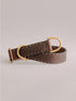 Pintu Dog Collar Bosque - Chocolate - Brass