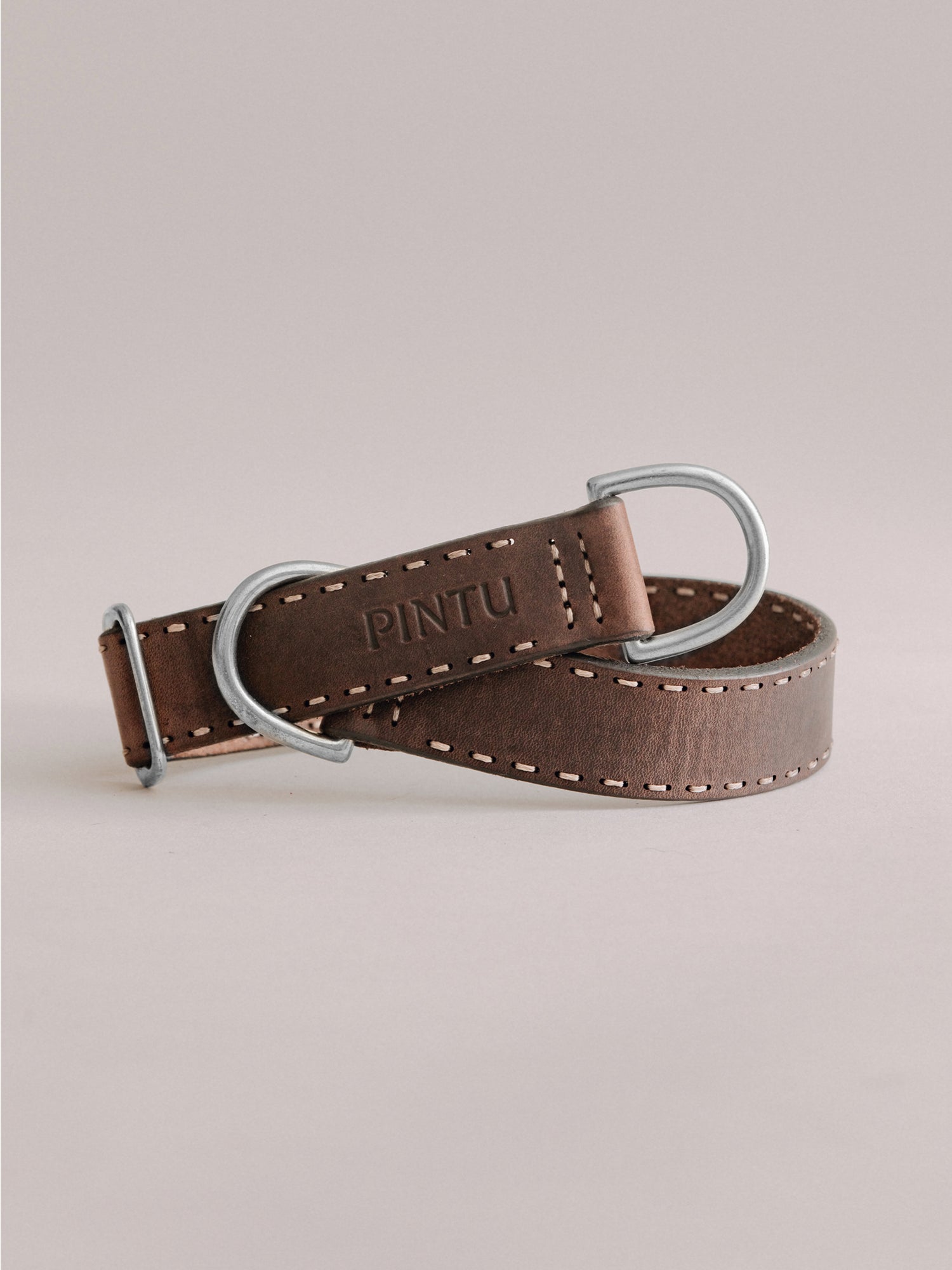 Pintu Dog Collar Bosque - Chocolate - Stainless Steel