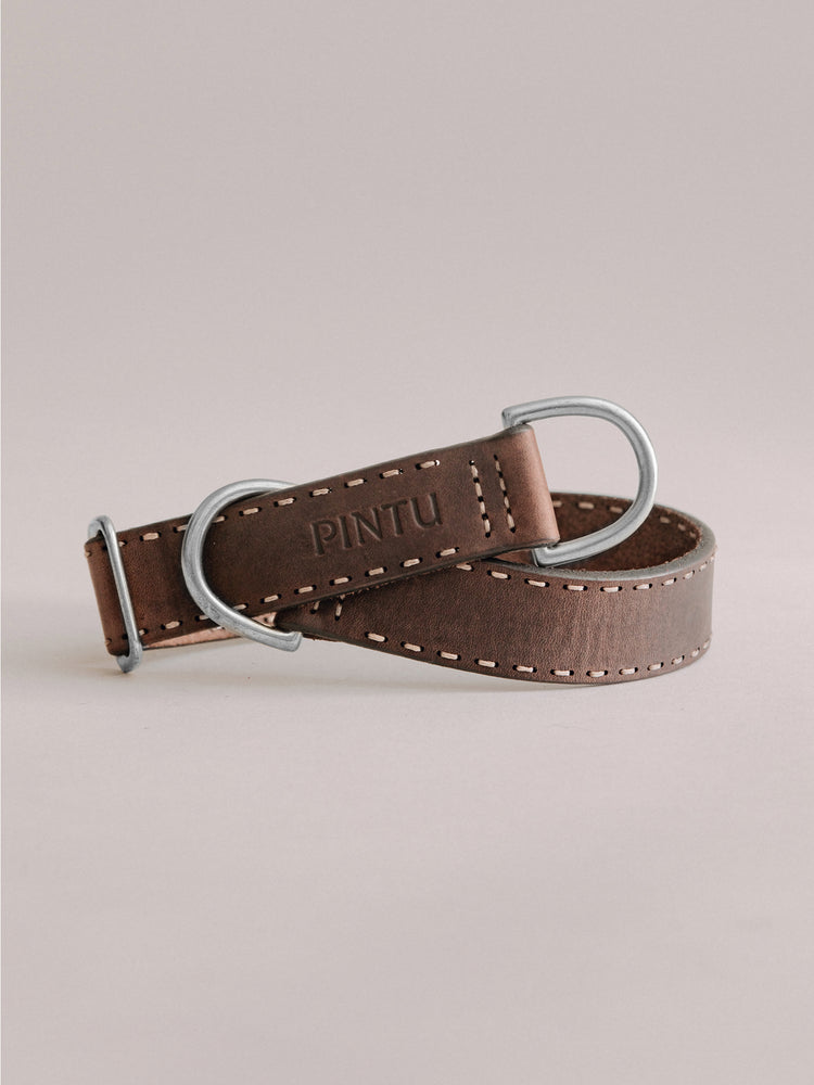 Pintu Dog Collar Bosque - Chocolate - Stainless Steel