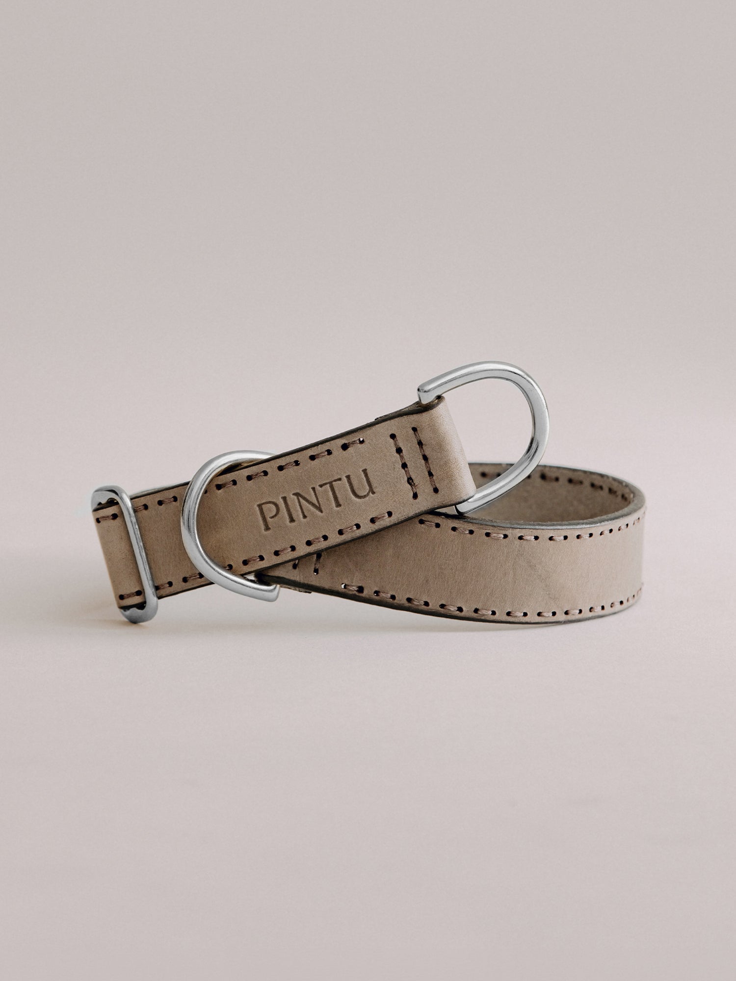 Pintu Dog Collar Bosque - Grey - Stainless Steel