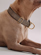 Pintu Dog Collar Bosque - Grey - Brass