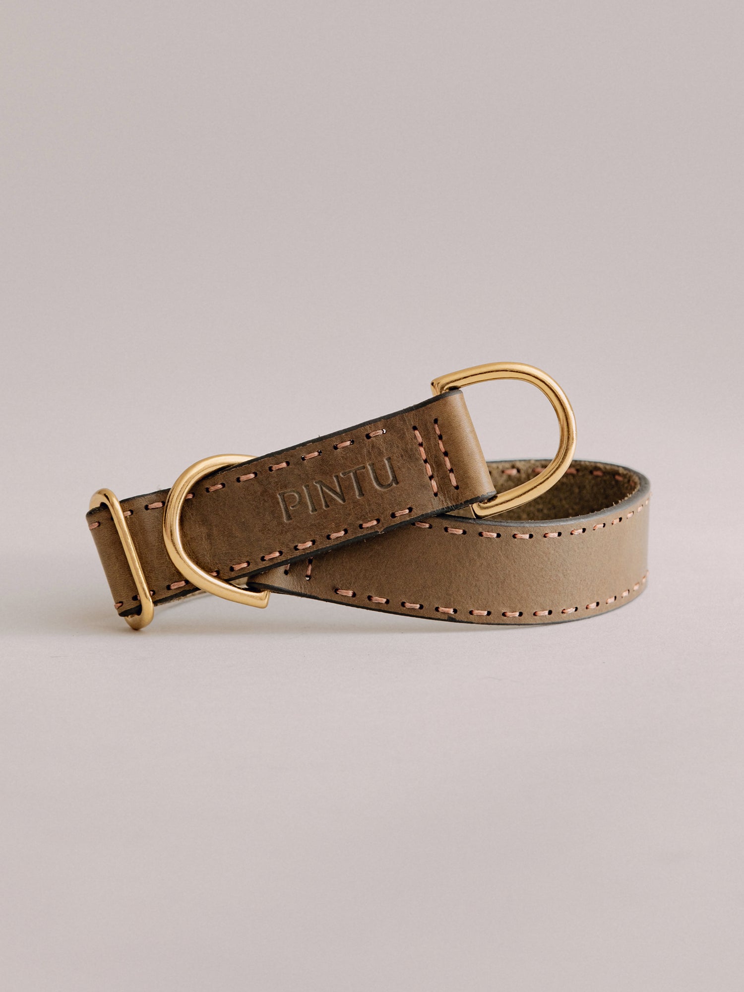Pintu Dog Collar Bosque - Olive - Brass