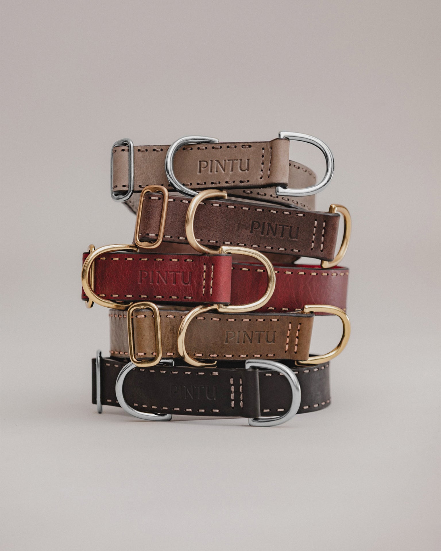 Pintu Dog Collar Bosque