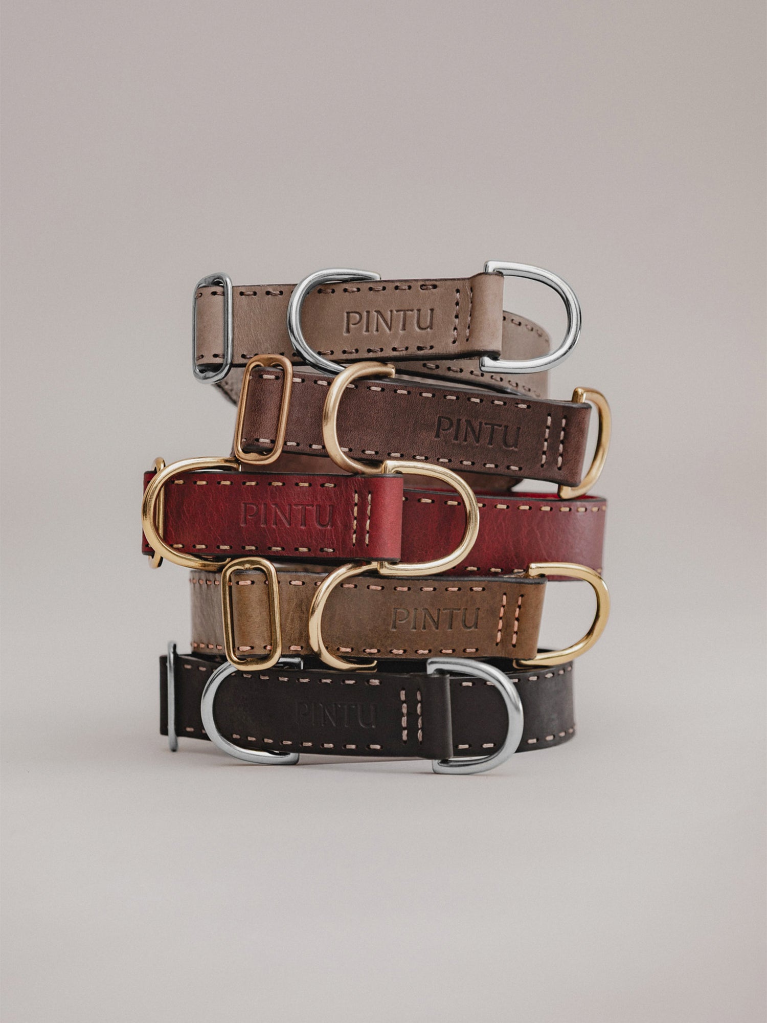Pintu Dog Collar Bosque