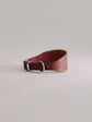 Pintu Dog Collar Viento - Cherry/Gold - Stainless Steel