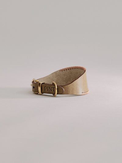 Pintu Dog Collar Viento - Olive/Coral - Brass