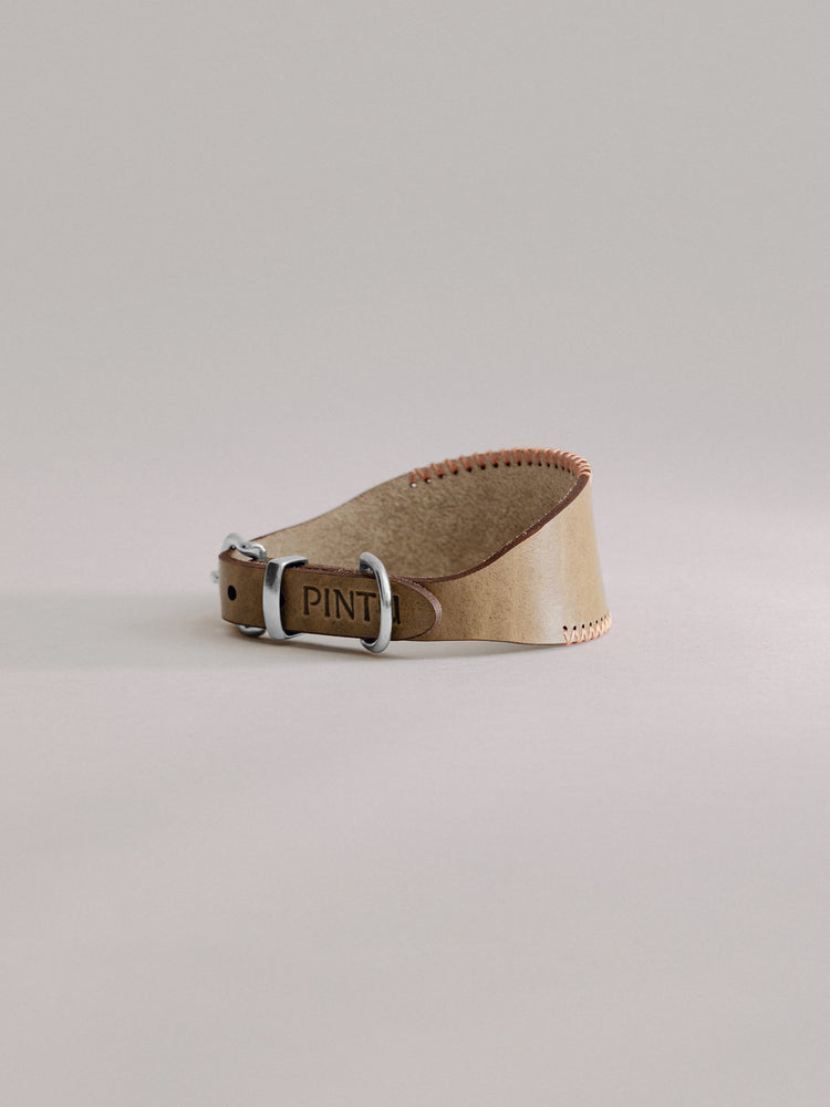 Pintu Dog Collar Viento - Olive/Coral - Stainless Steel
