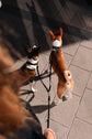 Double Dog Leash Extension