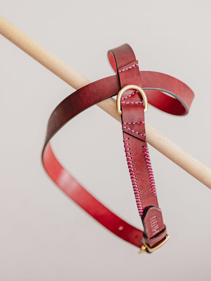 Pintu Dog Harness Flynn - Cherry/Pink - Brass
