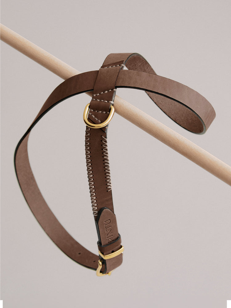 Pintu Dog Harness Flynn - Chocolate/Grey - Brass