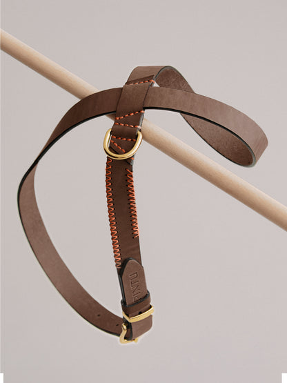Pintu Dog Harness Flynn - Chocolate/Orange - Brass