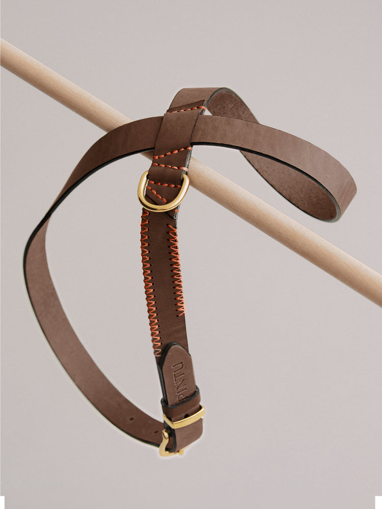 Pintu Dog Harness Flynn - Chocolate/Orange - Brass