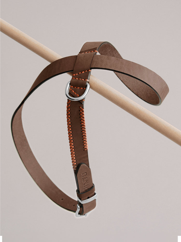 Pintu Dog Harness Flynn - Chocolate/Orange - Stainless Steel