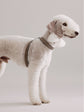 Pintu Dog Harness Flynn - Grey