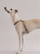 Pintu Dog Harness Flynn - Grey/Brown - Brass
