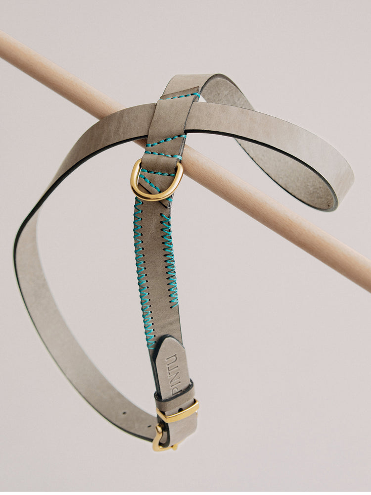 Pintu Dog Harness Flynn - Grey/Turquoise - Brass
