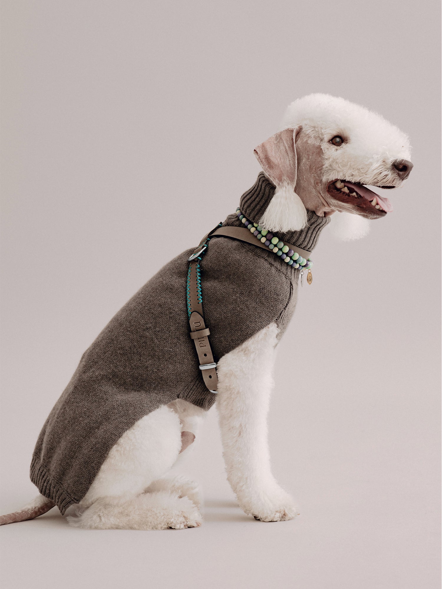 Pintu Dog Harness Flynn - Grey/Turquoise - Stainless Steel