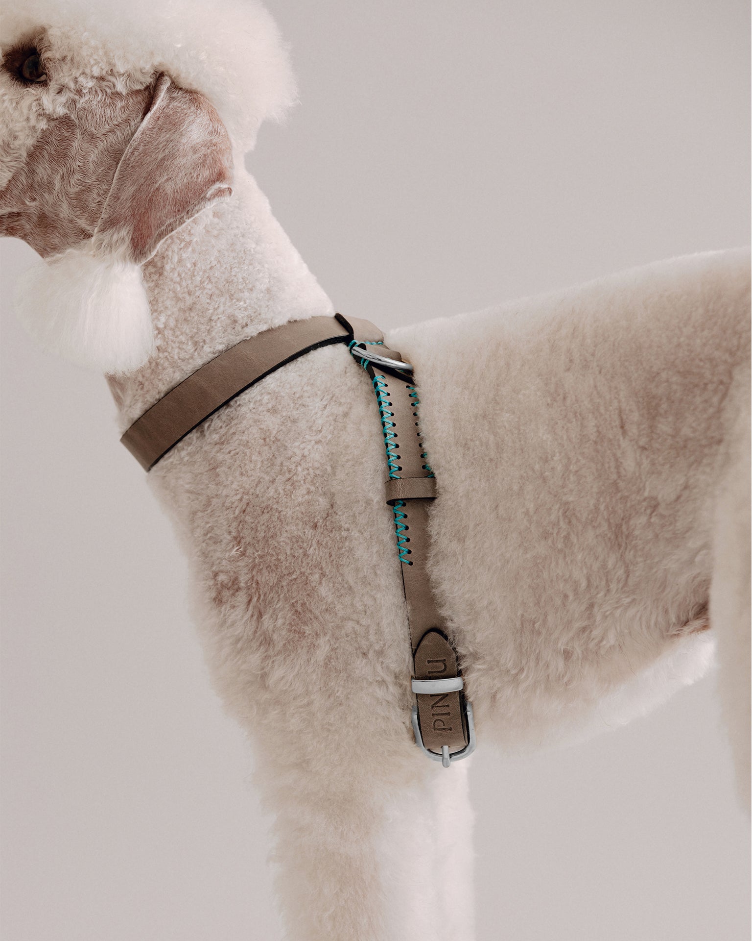 Pintu Dog Harness Flynn - Grey/Turquoise - Stainless Steel