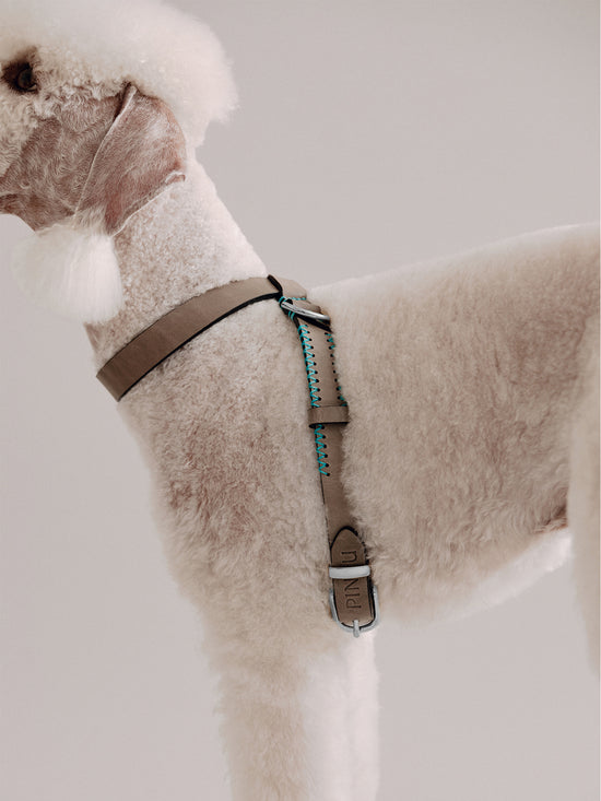 Pintu Dog Harness Flynn - Grey/Turquoise - Stainless Steel
