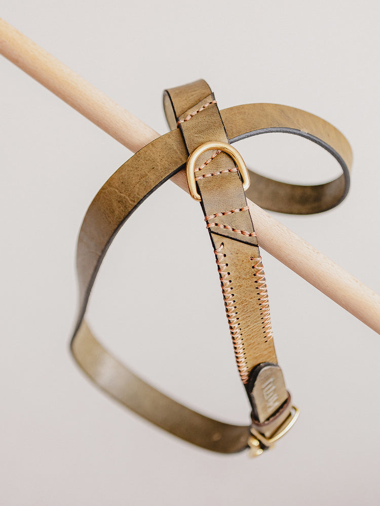 Pintu Dog Harness Flynn - Olive/Coral - Brass