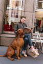 Hundegeschirr Flynn - Olivgrün
