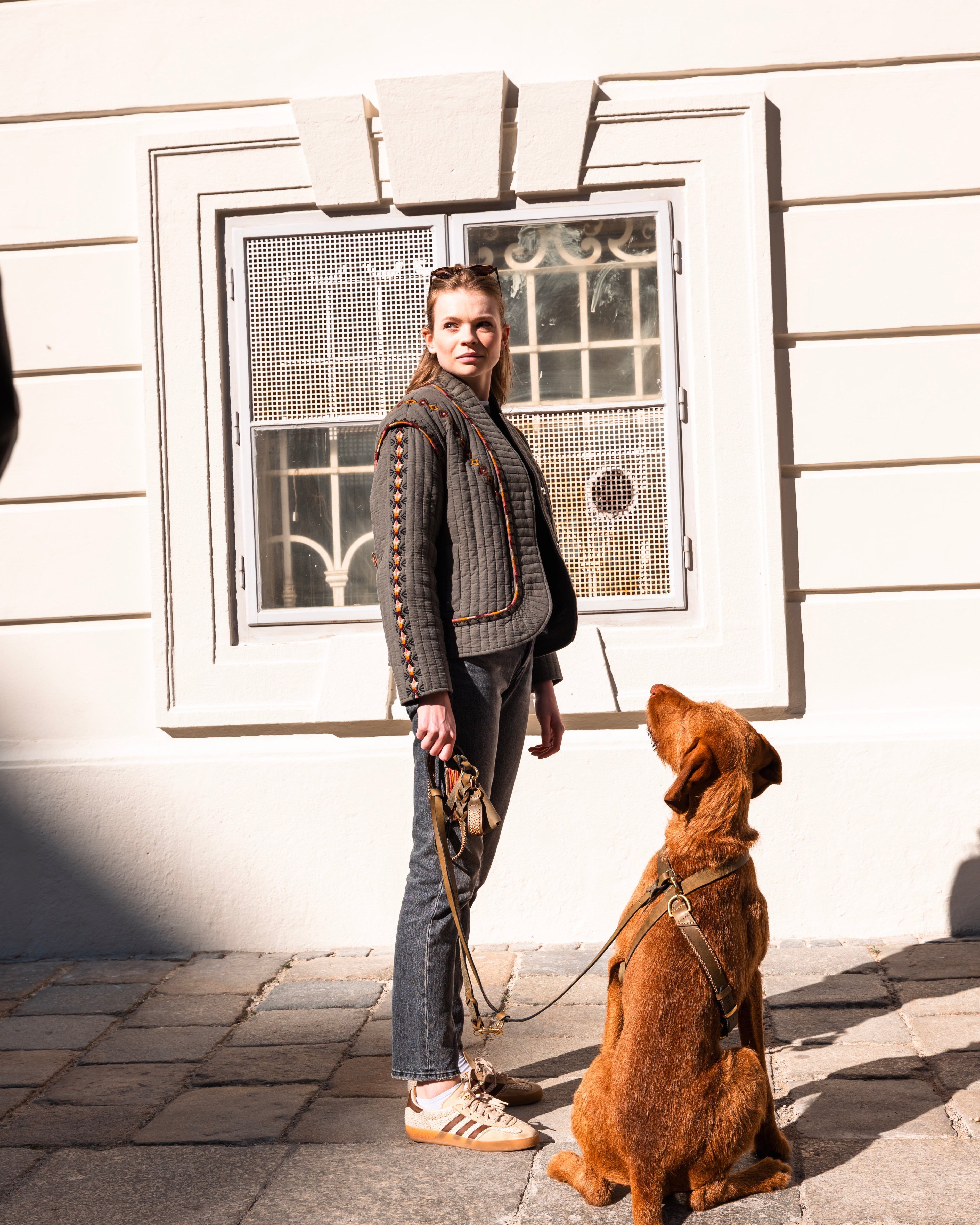 Dog Harness Flynn - Olive