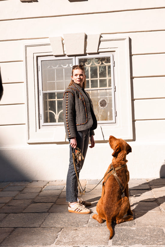 Hundegeschirr Flynn - Olivgrün