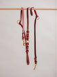 Pintu Dog Leash Lumas Adjustable - Cherry/Gold - Stainless Steel