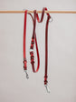 Pintu Dog Leash Lumas Adjustable - Cherry/Pink - Stainless Steel