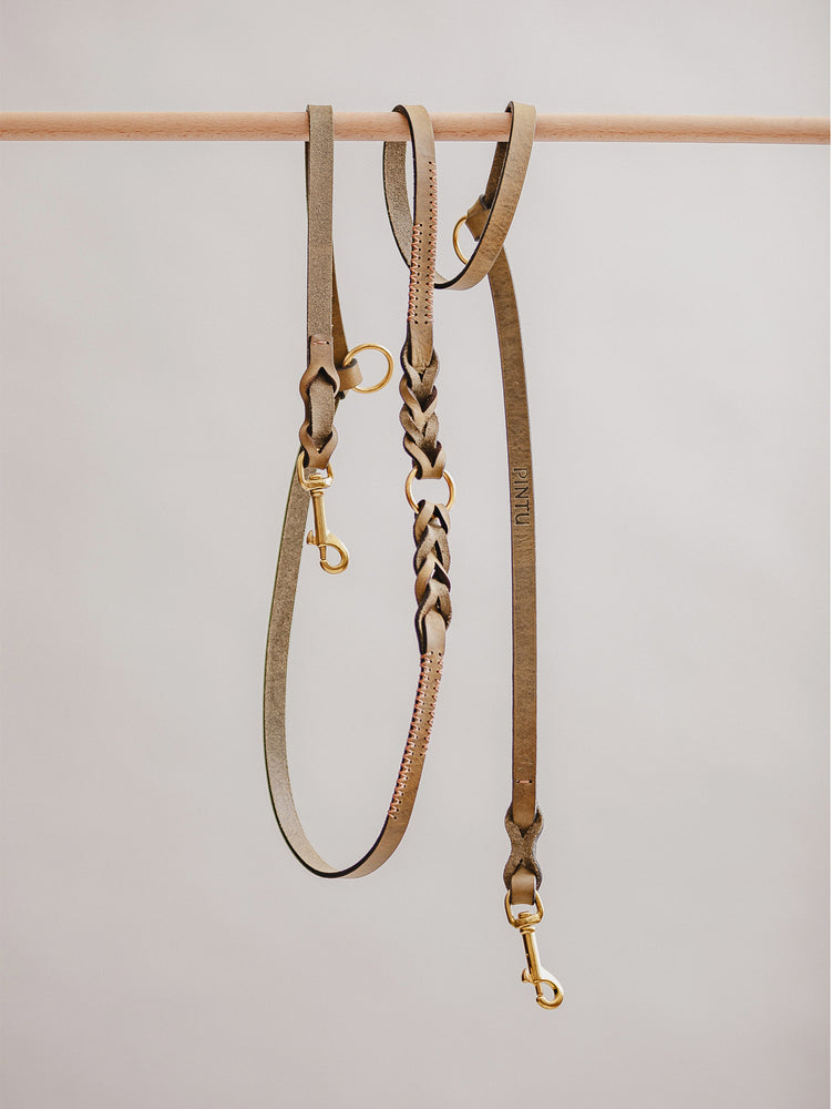 Pintu Dog Leash Lumas Adjustable - Olive/Coral - Brass