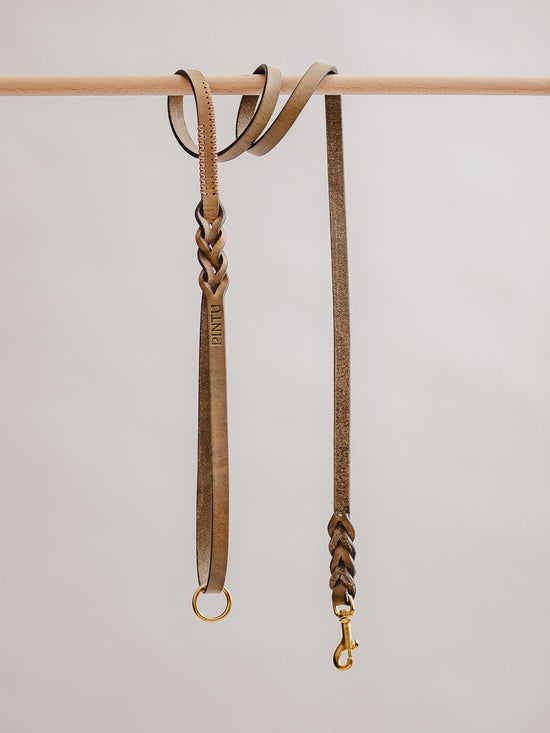 Pintu Dog Leash Lumas - Olive/Coral - Brass