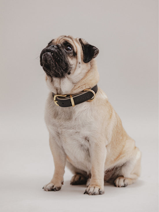 Pintu Dog Collar Monte - Black/Taupe - Brass