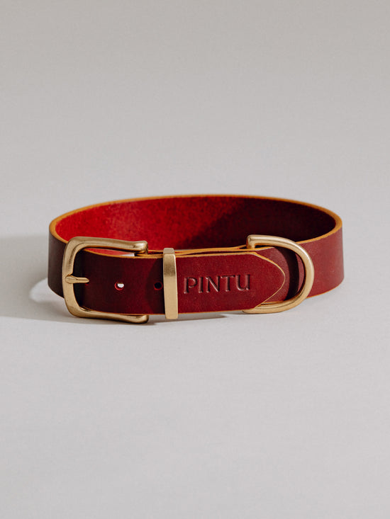 Pintu Dog Collar Monte - Cherry/Gold - Brass