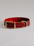 Pintu Dog Collar Monte - Cherry/Gold - Brass