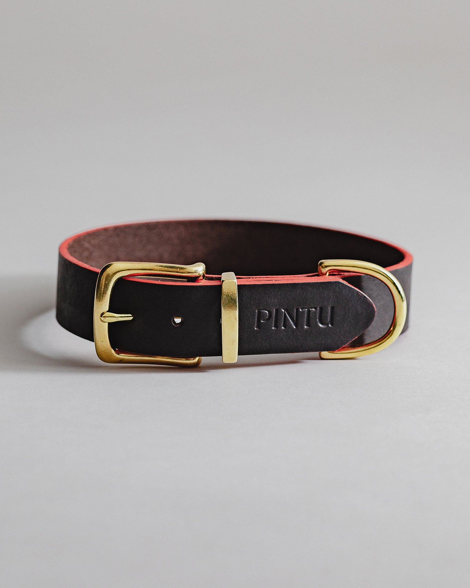 Pintu Dog Collar Monte - Chocolate/Grapefruit - Brass