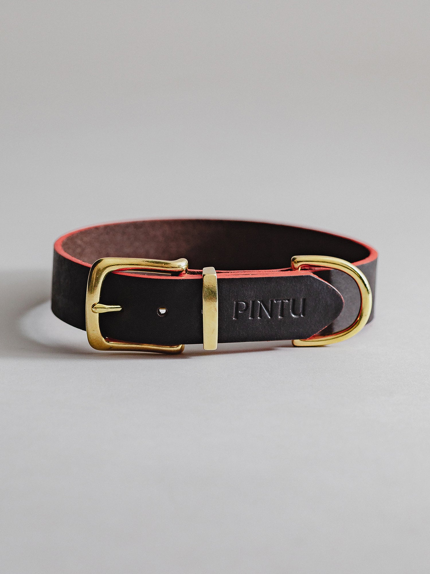 Pintu Dog Collar Monte - Chocolate/Grapefruit - Brass