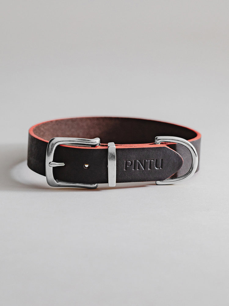 Pintu Dog Collar Monte - Chocolate/Grapefruit - Stainless Steel