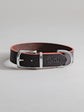 Pintu Dog Collar Monte - Chocolate/Grapefruit - Stainless Steel