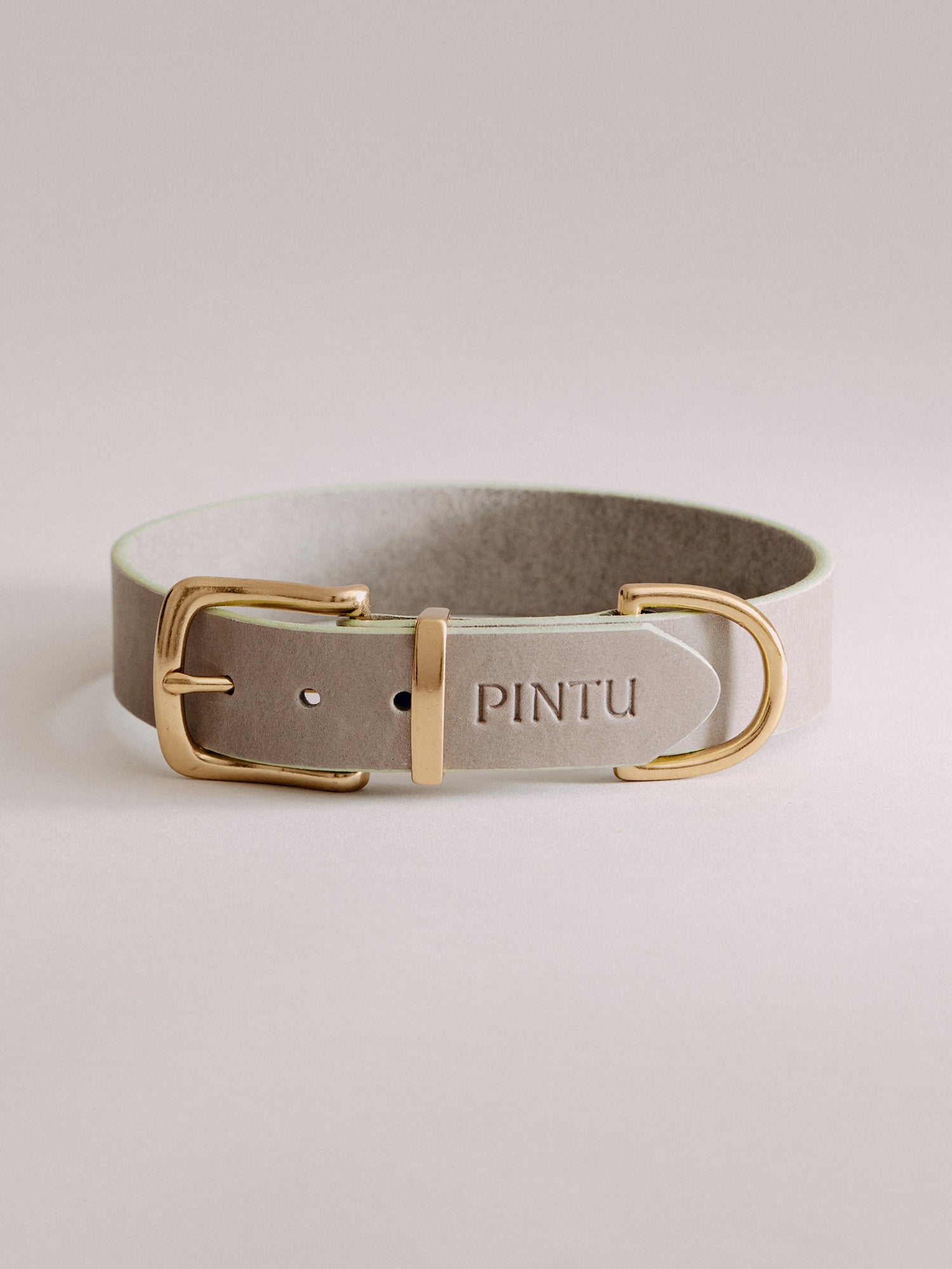 Pintu Dog Collar Monte - Grey/Sage Green - Brass