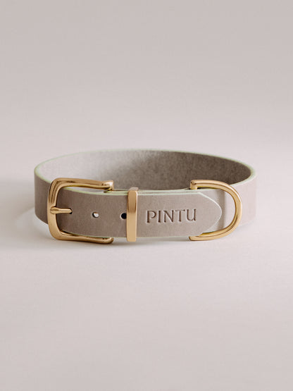 Pintu Dog Collar Monte - Grey/Sage Green - Brass