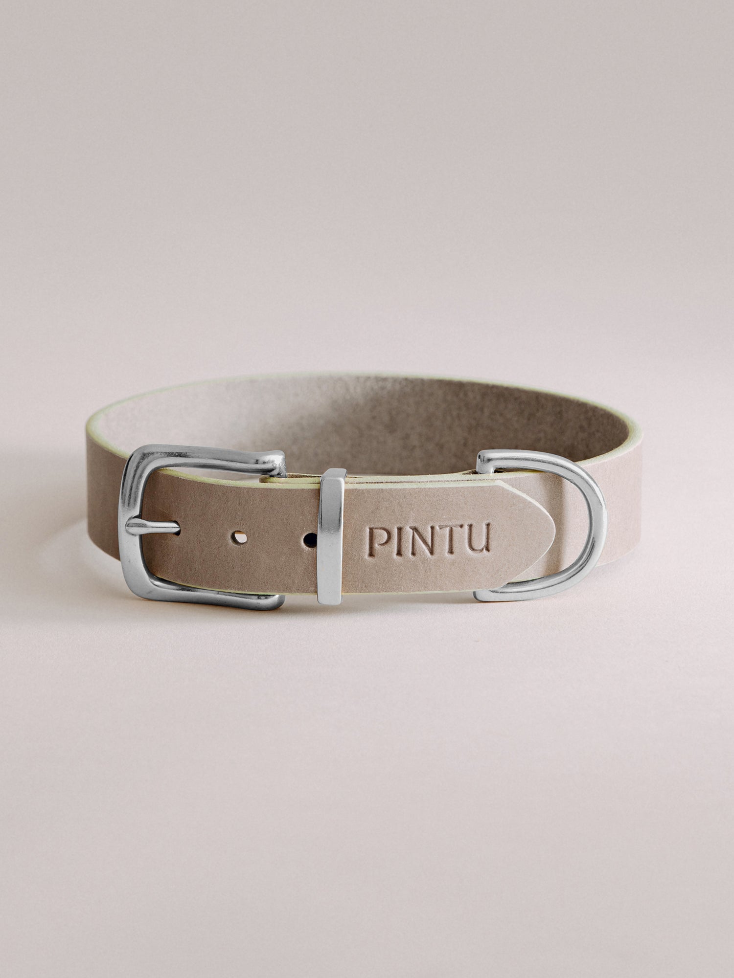 Pintu Dog Collar Monte - Grey/Sage Green - Stainless Steel