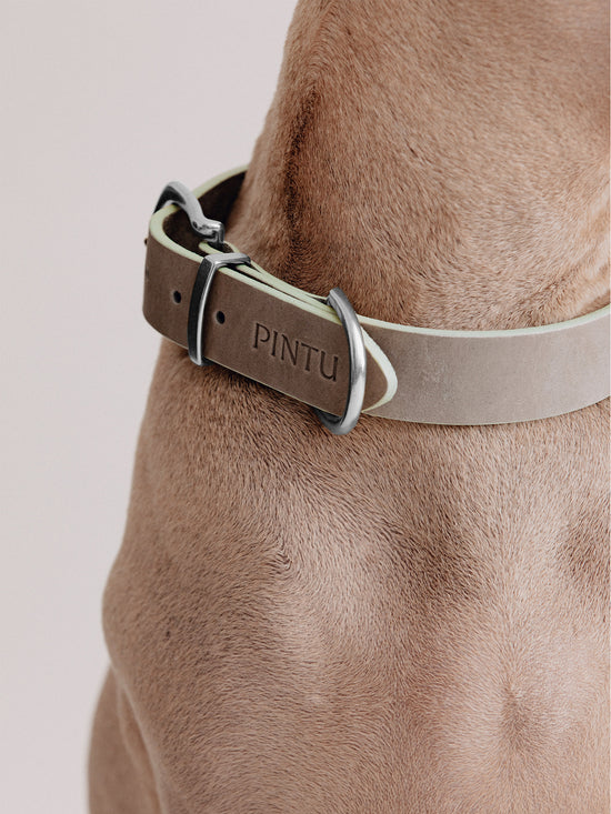 Pintu Dog Collar Monte - Grey/Sage Green - Stainless Steel