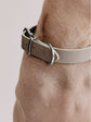 Pintu Dog Collar Monte - Grey/Sage Green - Stainless Steel