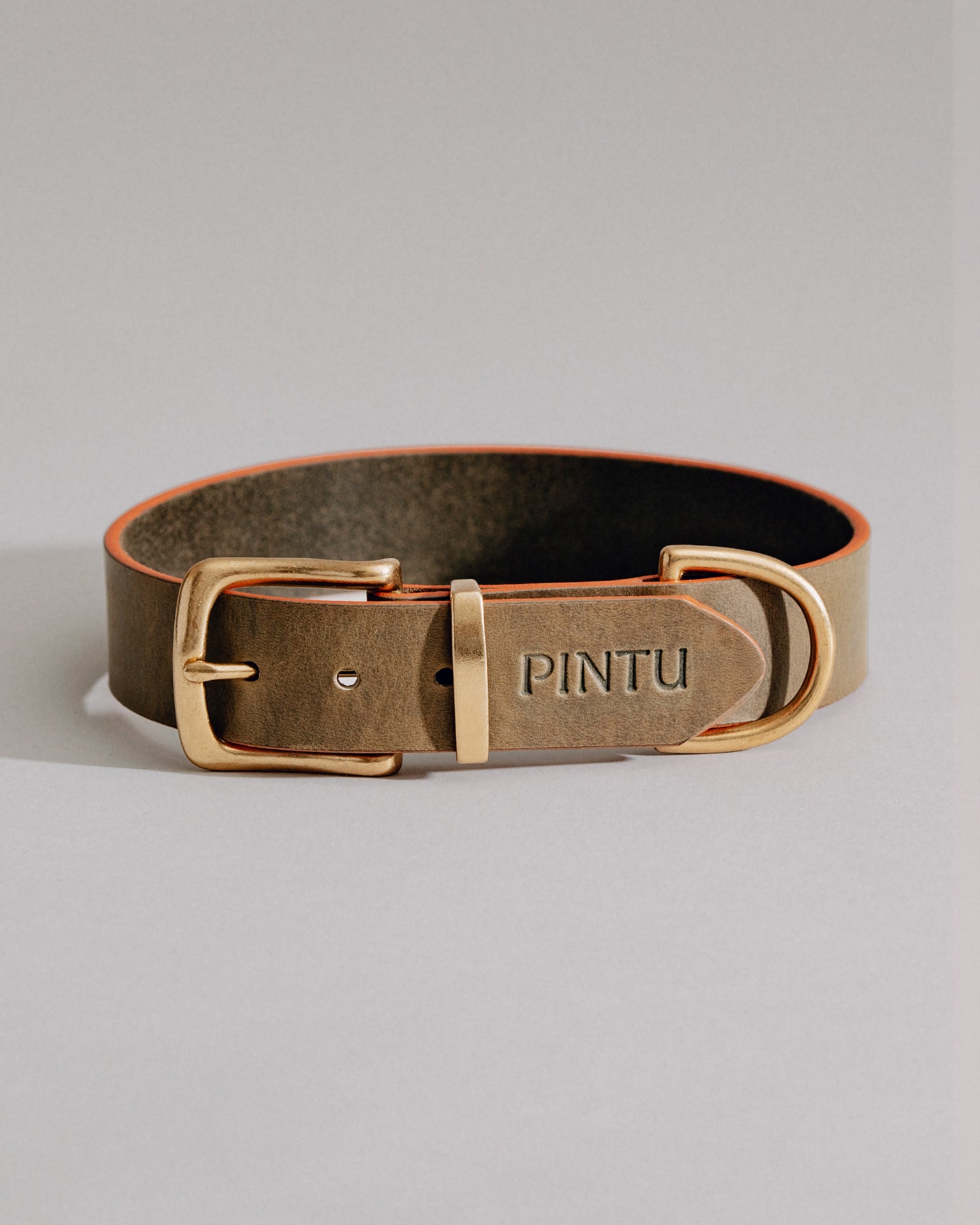 Pintu Dog Collar Monte - Olive/Dusty Orange - Brass