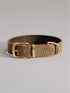 Pintu Dog Collar Monte - Olive/Dusty Orange - Brass