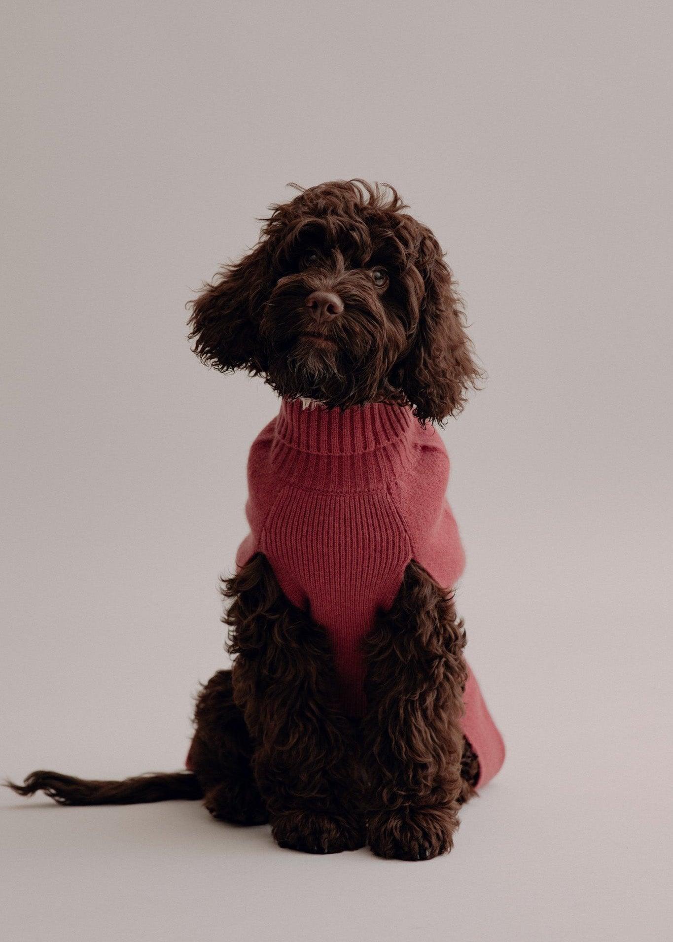 Cashmere Dog Pullover - Cherry - Pintu