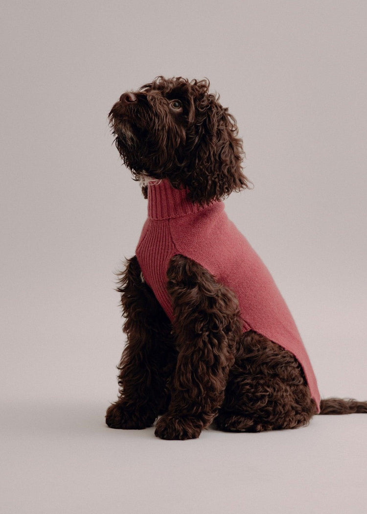 Cashmere Dog Pullover - Cherry - Pintu