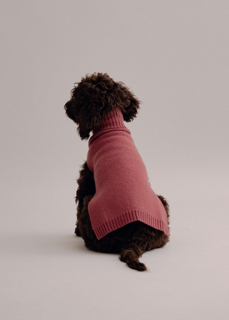 Cashmere Dog Pullover - Cherry - Pintu
