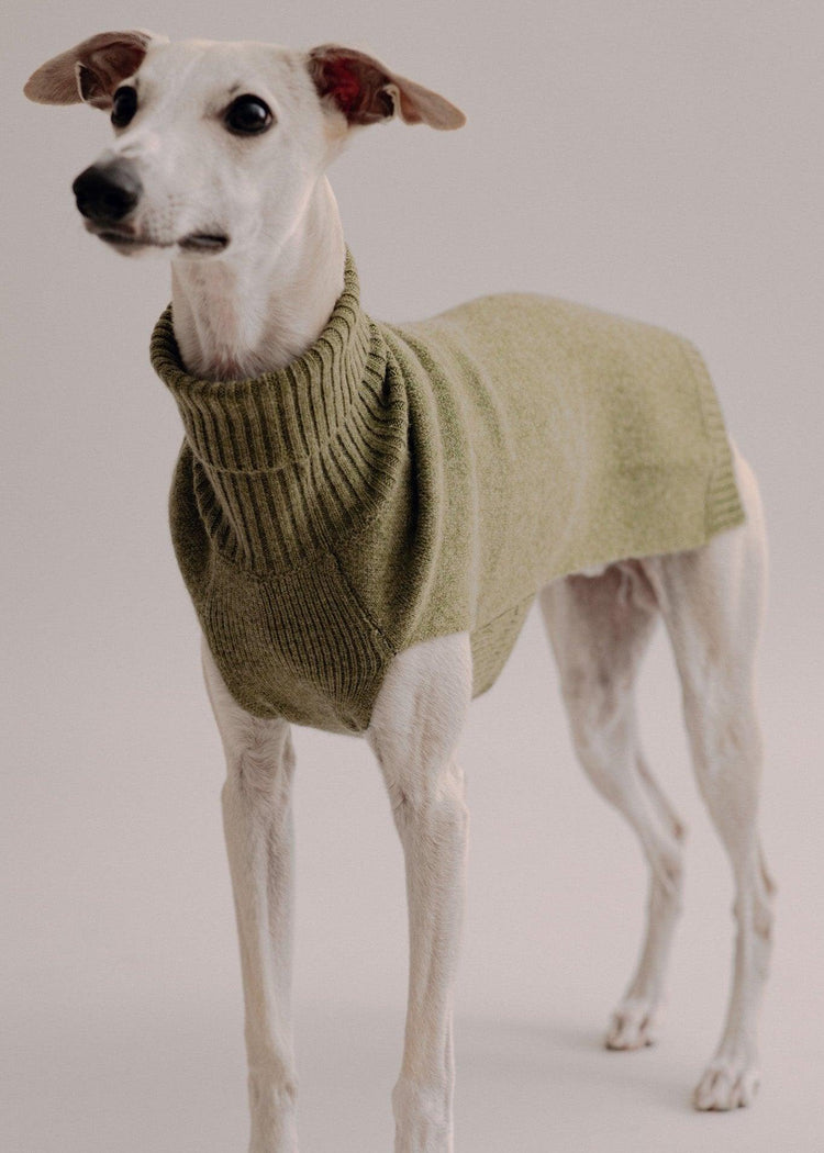 Cashmere Dog Pullover - Olive - Pintu