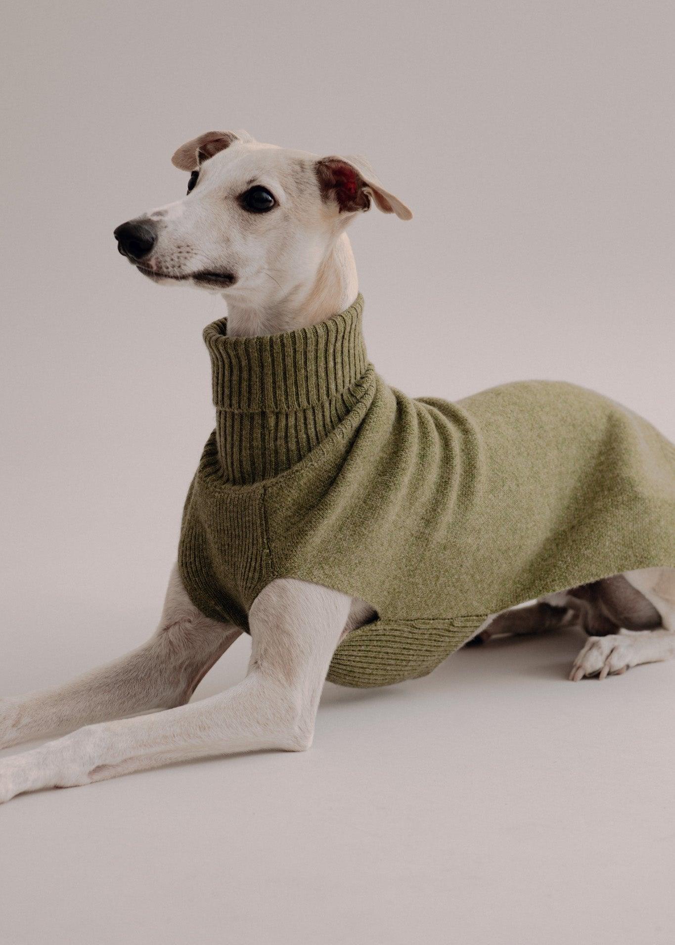Cashmere Dog Pullover - Olive - Pintu
